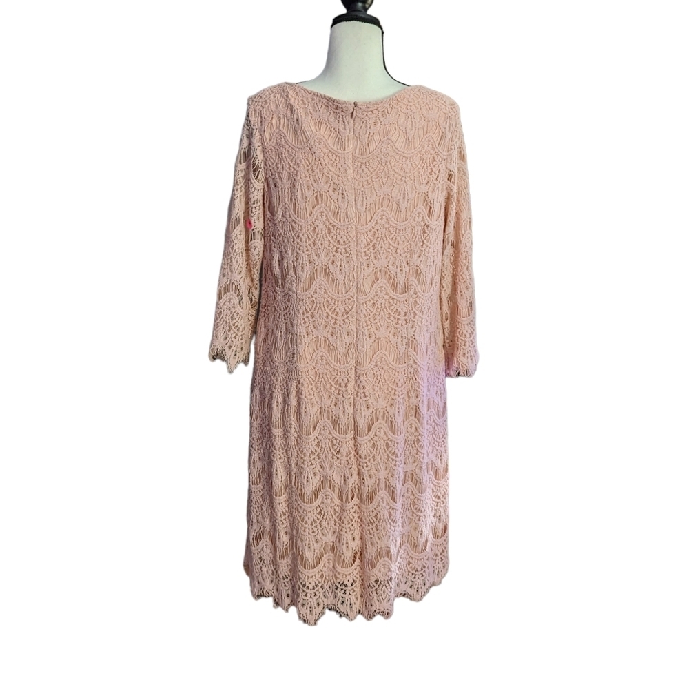 RN Studio Light Pink Lace Dress - Picture 3 of 13